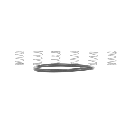 IndustryNine I9 Torch MTN Pawl Spring Kit