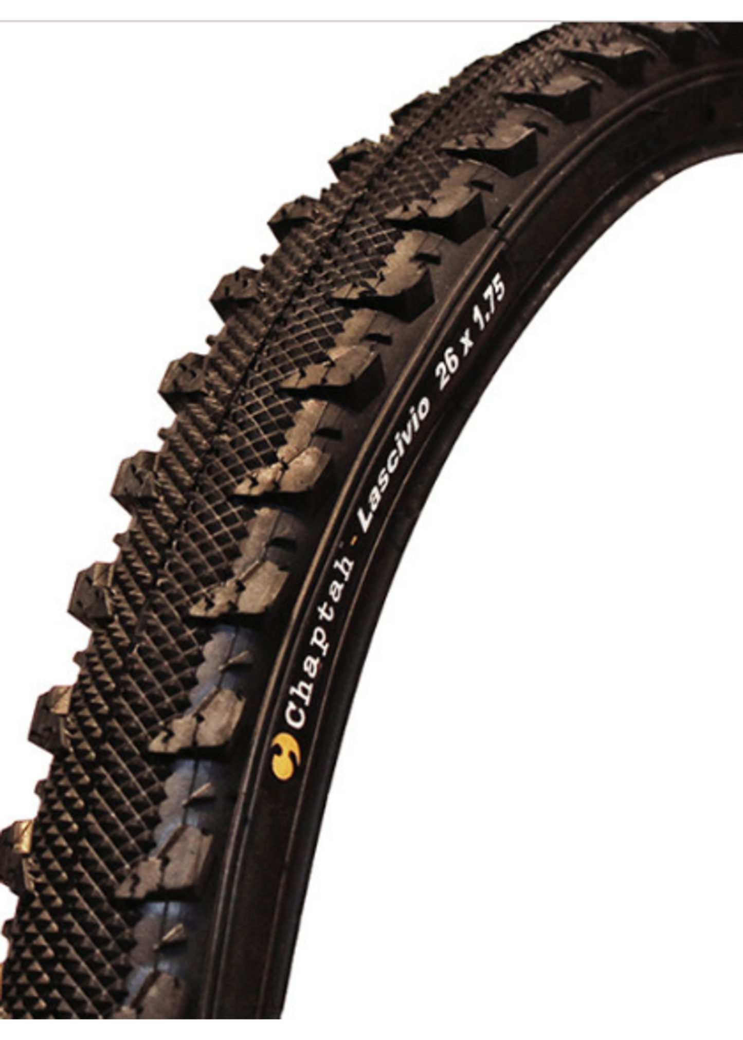Chaptah Lascivio MTB Tyre
