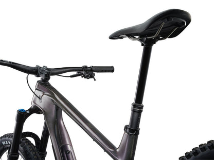 MY24 Trance X Advanced 1 - Raw Carbon / Arctic Light