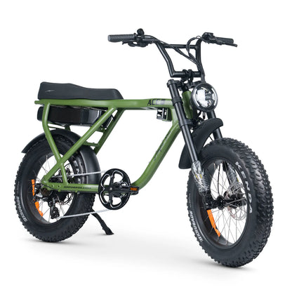 AMPD BROS ACE-X Plus+ Electric Bike