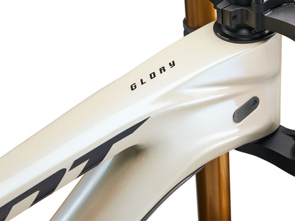 GIANT GLORY ADVANCED - SHORELINE (2024)