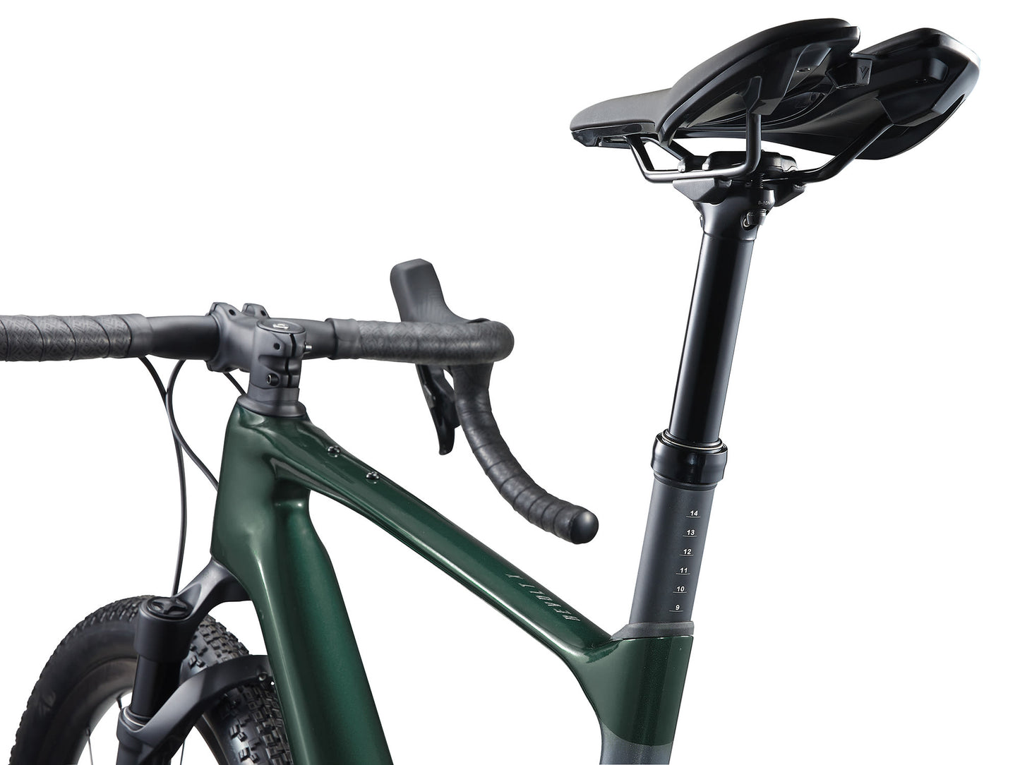 GIANT REVOLT X ADVANCED PRO 0 - KELP FOREST/CHARCOAL (2024)