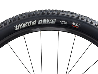 MY25 TALON 1 - CHARCOAL