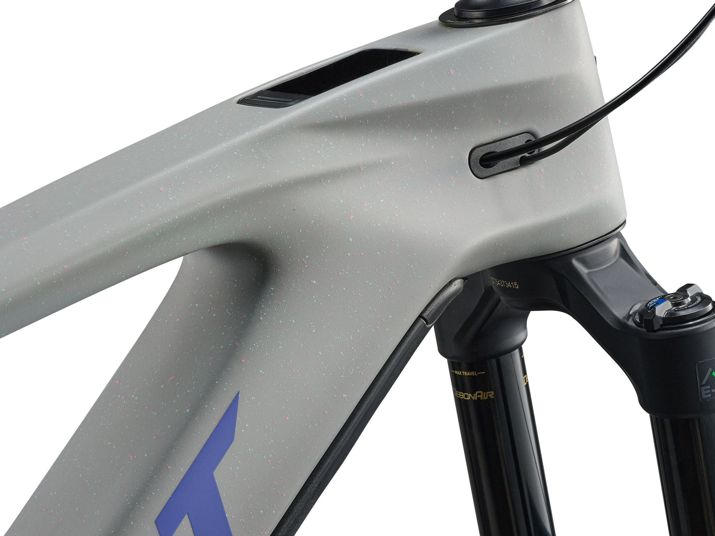 GIANT MY26 Reign Advanced E+ 2 - MOON DUST