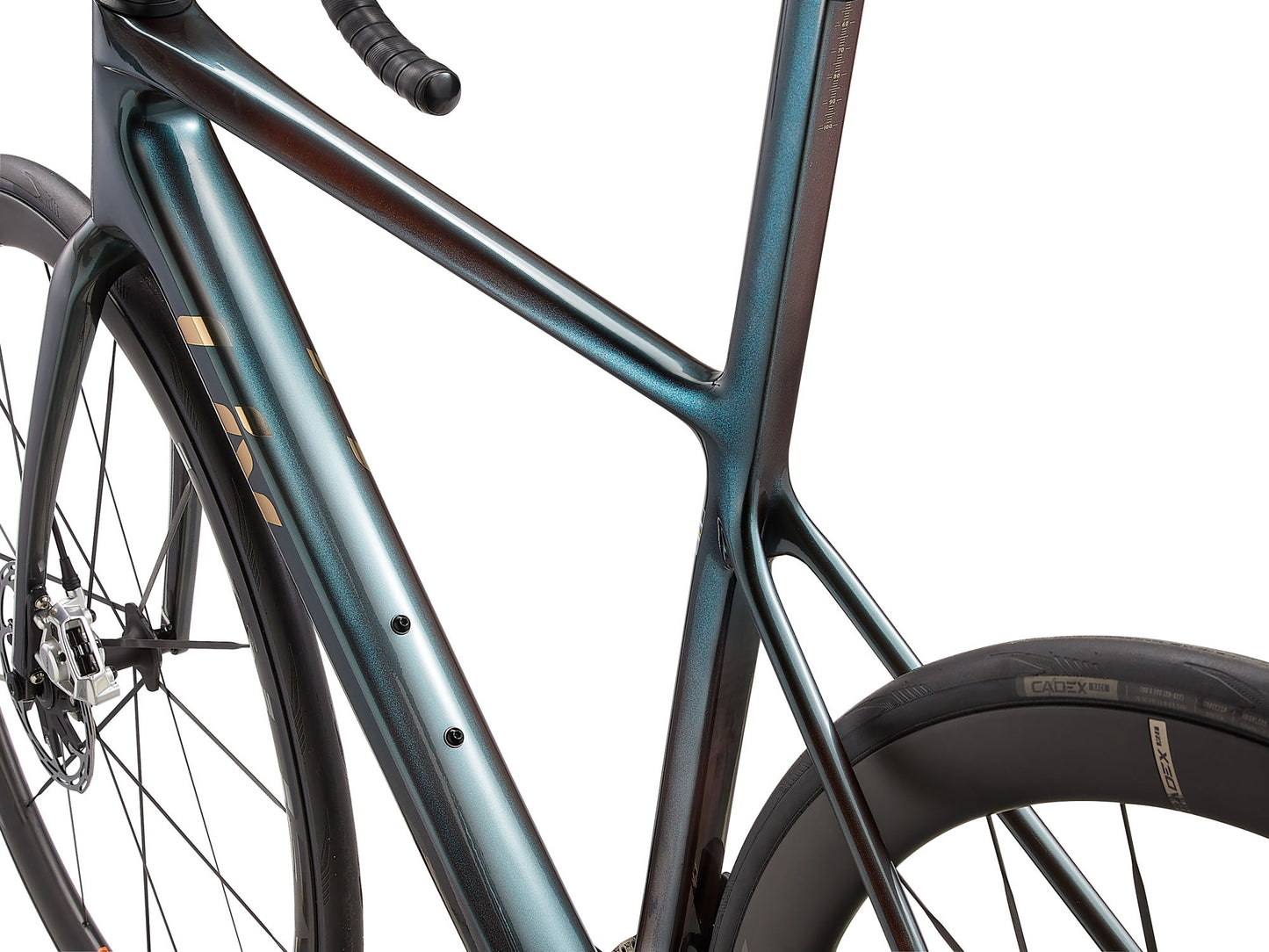 my25 liv langma advanced sl o - tahitian pearl