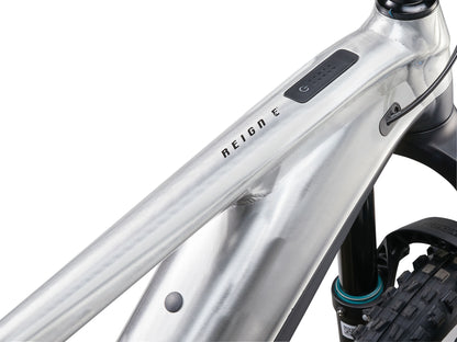 giant reign e+ 3 (2024) - raw aluminium